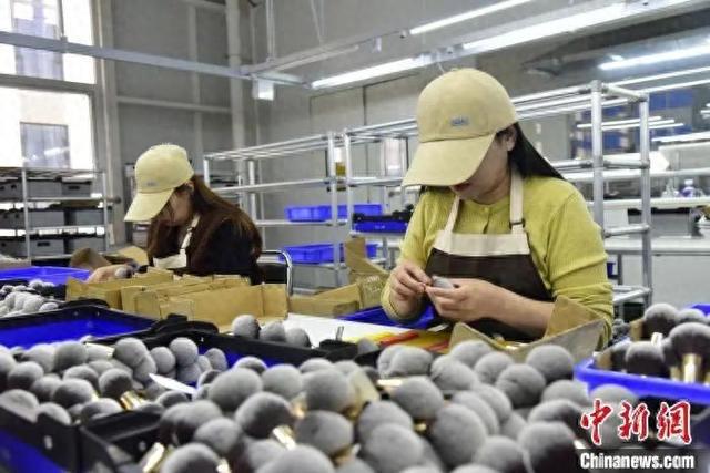 州真有“两把刷子”！麻将胡了2试玩网站沧(图11)