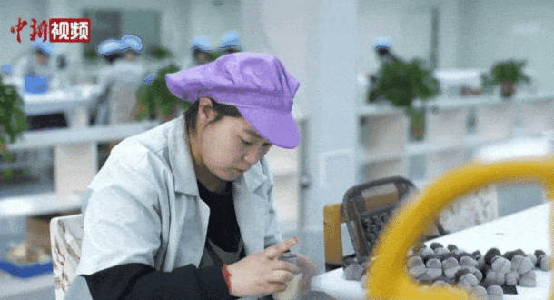 州真有“两把刷子”！麻将胡了2试玩网站沧(图8)
